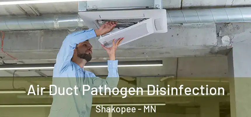  Air Duct Pathogen Disinfection Shakopee - MN