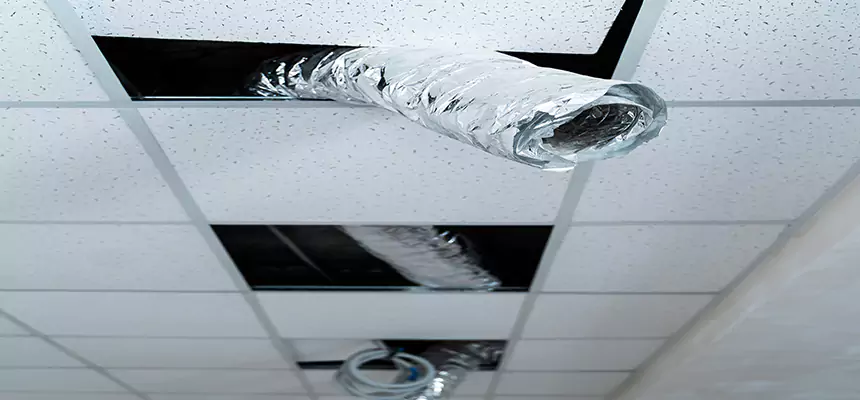 Affordable HVAC Sanitizing After Pest Removal in Shakopee