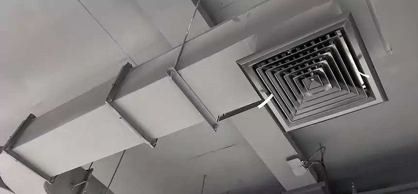 Restorative Allergy Relief Vent Cleaning – Coil, Blower & Housing Detail in Shakopee