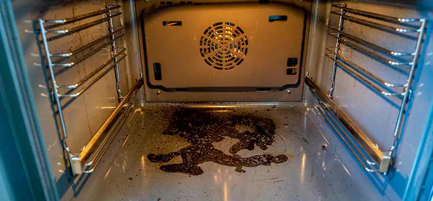 Our Dryer Vent Mold Cleaning Services in Shakopee, MN