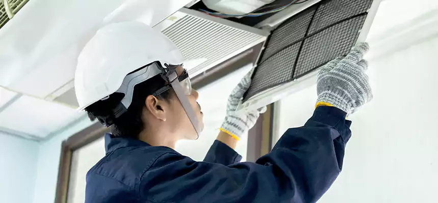 Our Mold & Mildew Removal from Air Ducts Services in Shakopee, MN