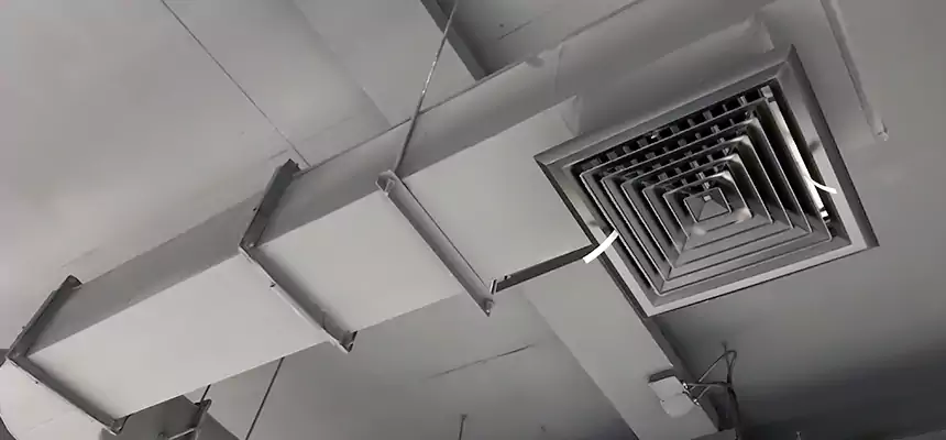 Our Pest Removal From Ducts Services in Shakopee, MN