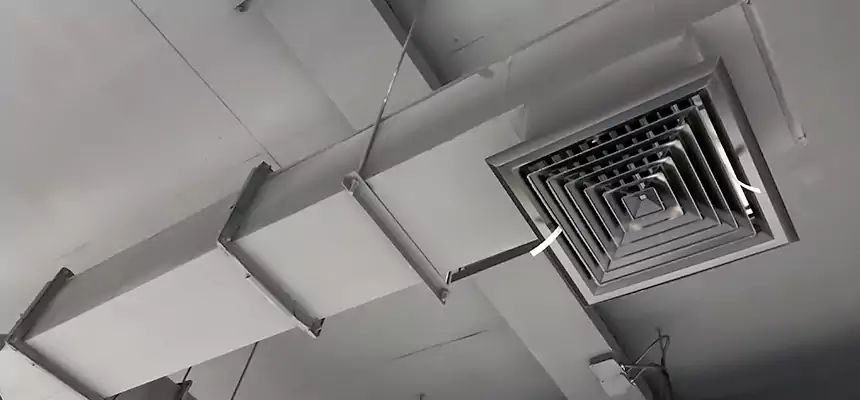 Our Rodent Droppings In Vents Services in Shakopee, MN