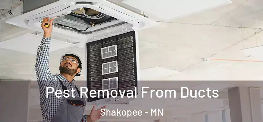  Pest Removal From Ducts Shakopee - MN