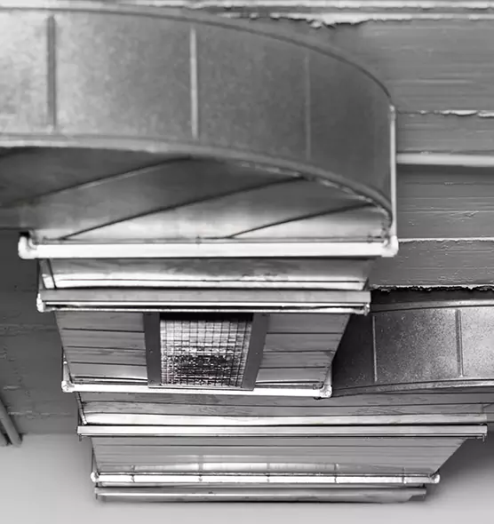 Professional Air Duct Pest Removal in Shakopee, MN