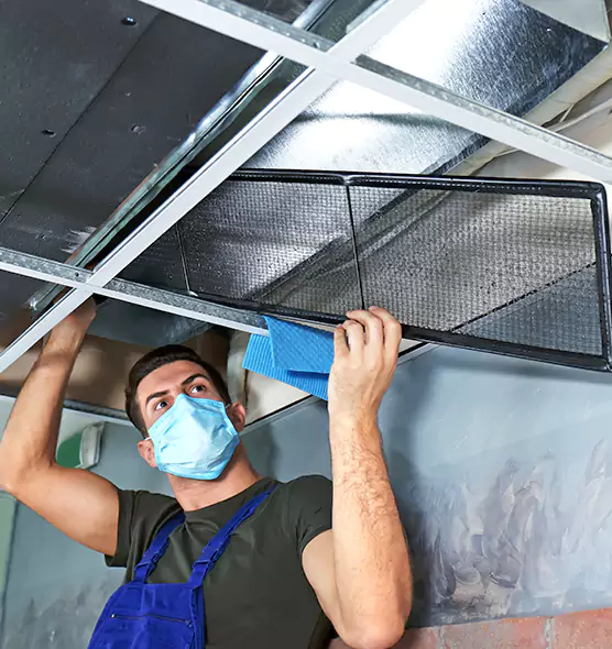 Professional Air Duct Pollen Cleaning in Shakopee, MN