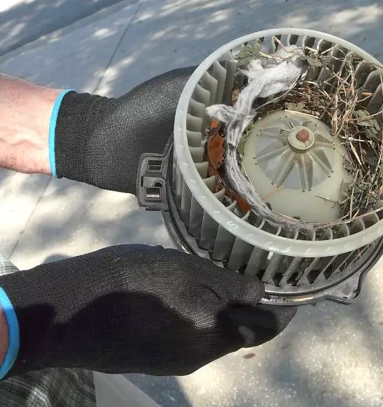 About Air Duct Rat Removal in Shakopee, MN