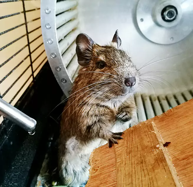 Why Homeowners & Businesses Trust Us Shakopee, MN