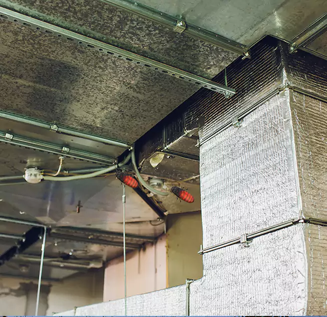 Why Homeowners & Businesses Trust Us Shakopee, MN?